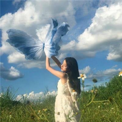 海豚奇迹 首页焦点图